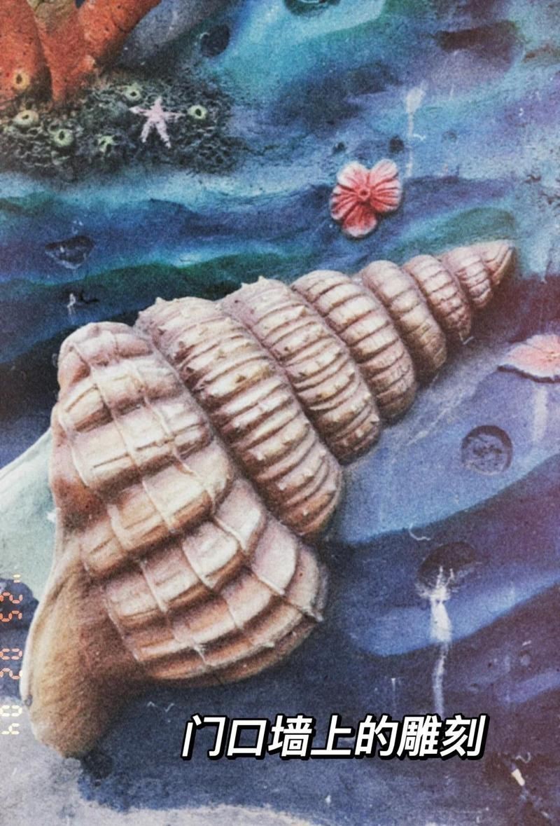 泉州水族館【泉州三點(diǎn)水族館游玩攻略】