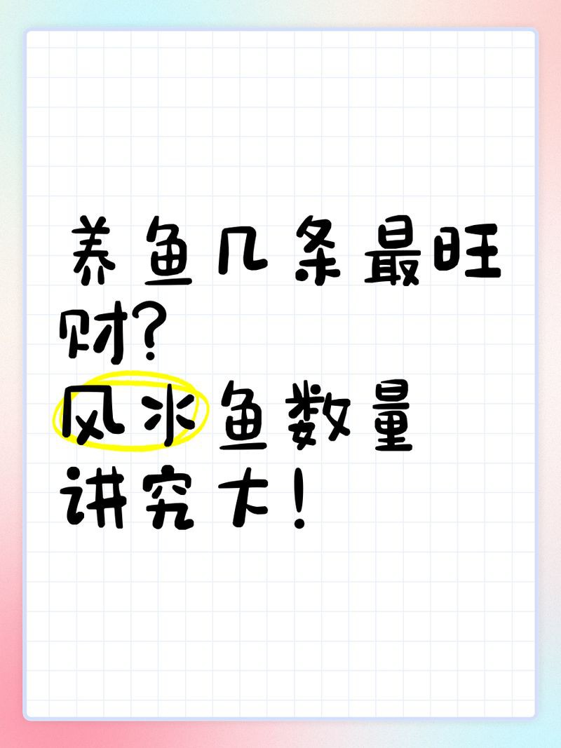 魚養幾條最吉利最旺財【住宅養魚的基礎】