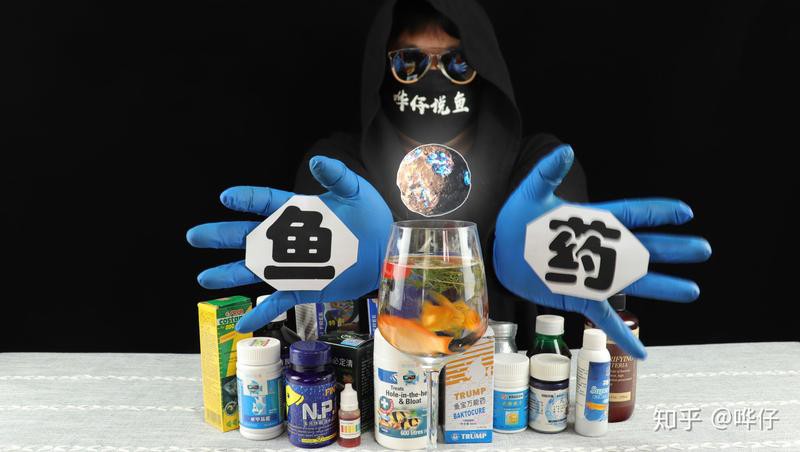 甲基藍對蒙眼有用嗎【甲基藍對觀賞魚蒙眼有一定作用，其作用機制主要基于抗菌特性】