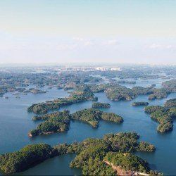 眉山水族店【眉山地區(qū)的水族店分布廣泛且各具特色為當地居民及愛好者提供了豐富的選擇】