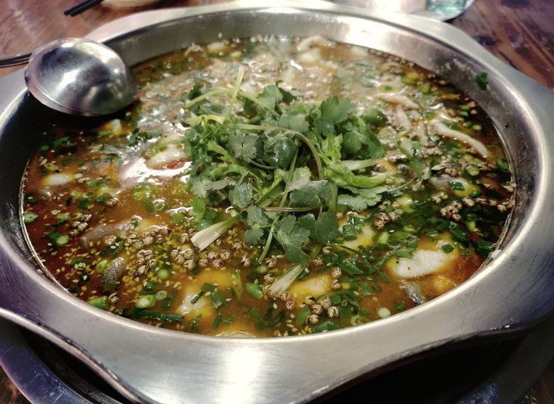 眉山水族店【眉山地區(qū)的水族店分布廣泛且各具特色為當地居民及愛好者提供了豐富的選擇】