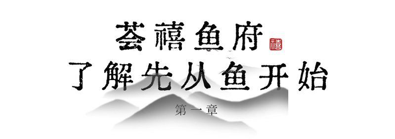 眉山水族店【眉山地區(qū)的水族店分布廣泛且各具特色為當地居民及愛好者提供了豐富的選擇】
