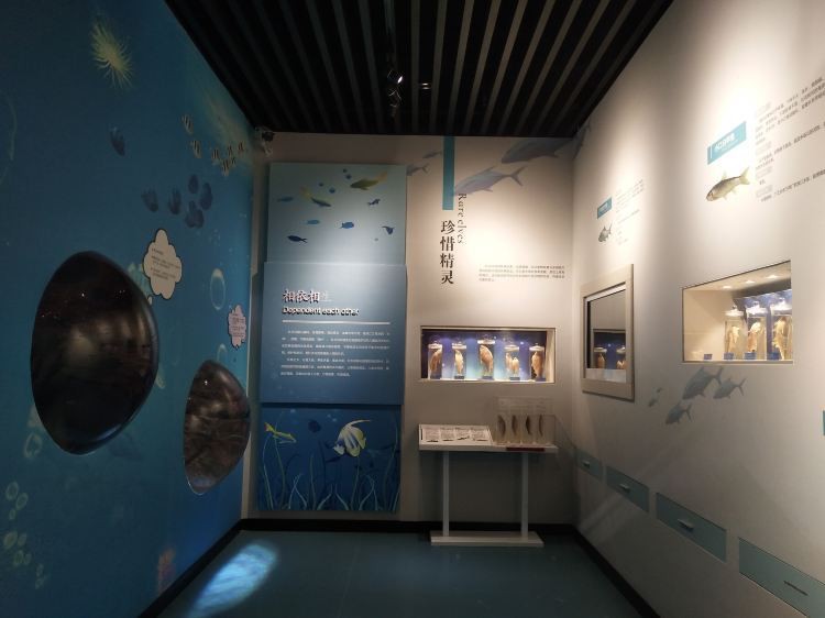 大化水族店【大化紅水河水族館】