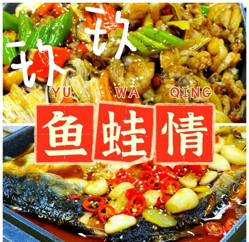 南譙龍魚店【南譙龍魚店哪家口碑最好】