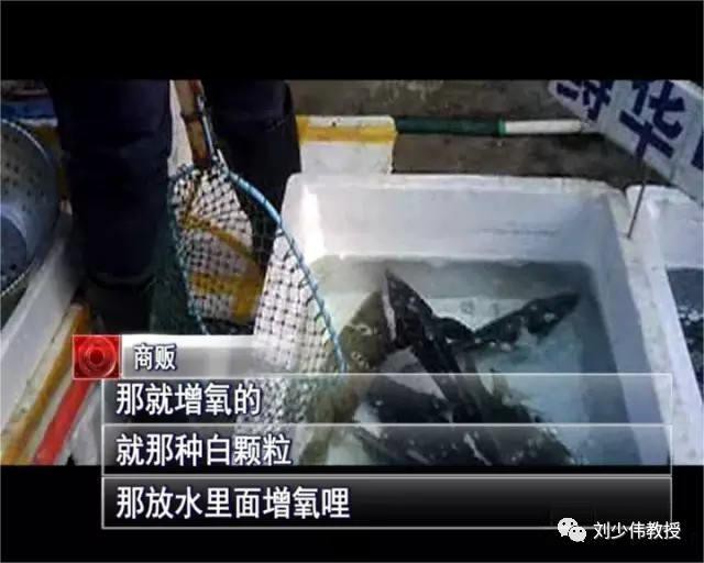 什么藥叫魚(yú)缺氧上浮【\