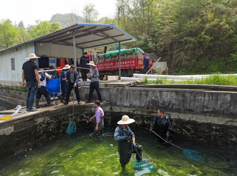 商南水族店【商南縣大洋水族館】