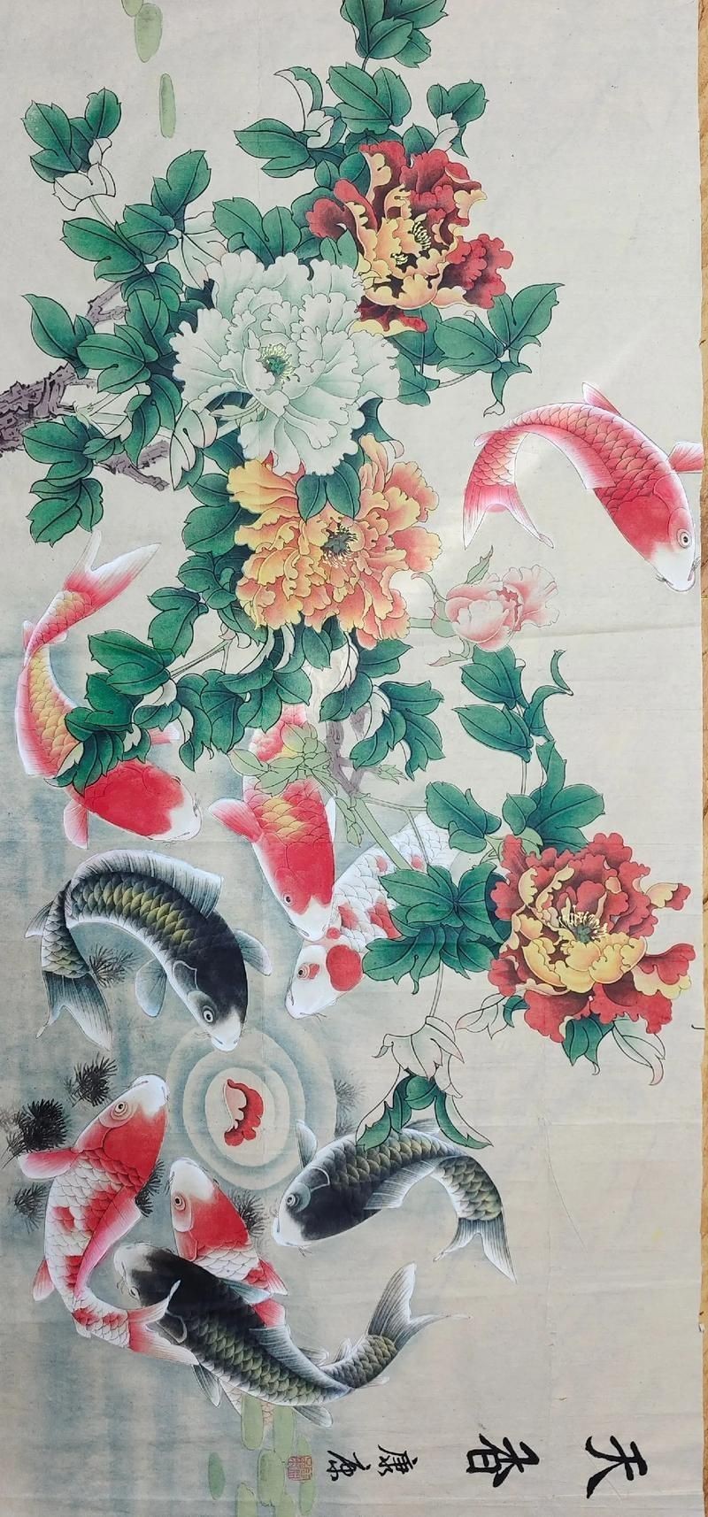牡丹魚圖片【養魚老道，三色牡丹，兩種小型觀賞魚，引出一個難解的謎題】