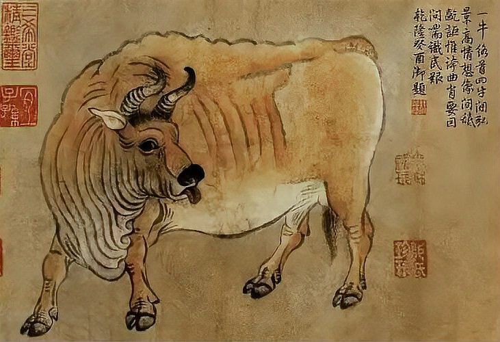 福魚在佛家暗示什么【《福信仰中的福魚什么》】
