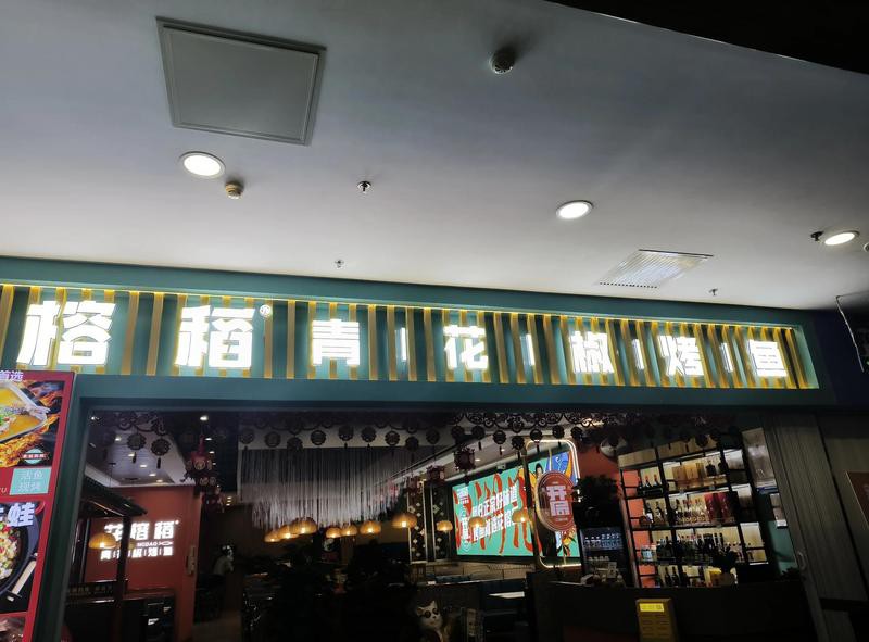 東麗龍魚店【東麗區龍魚相關店鋪有哪些】