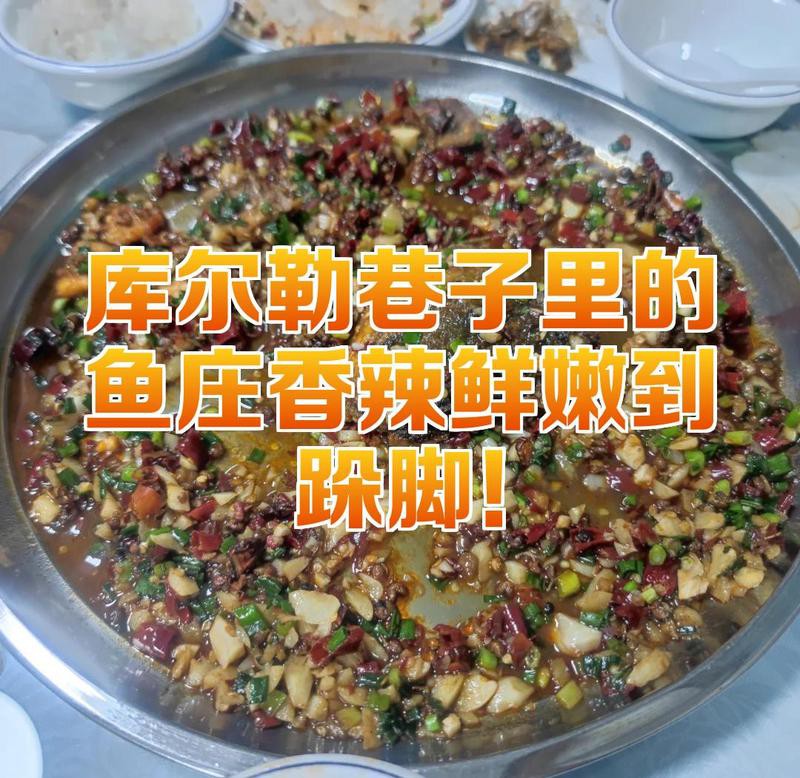博湖龍魚店【博斯騰湖博湖龍魚店】