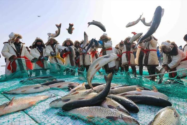 博湖龍魚店【博斯騰湖博湖龍魚店】