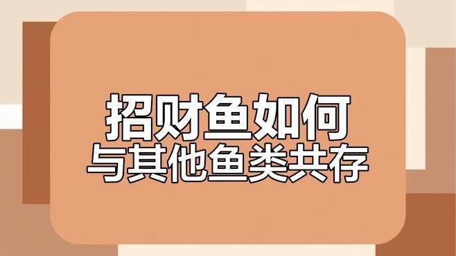 招財魚和哪些魚混養最和諧？【招財魚與其他魚類混養的和諧組合具有重要實踐意義】