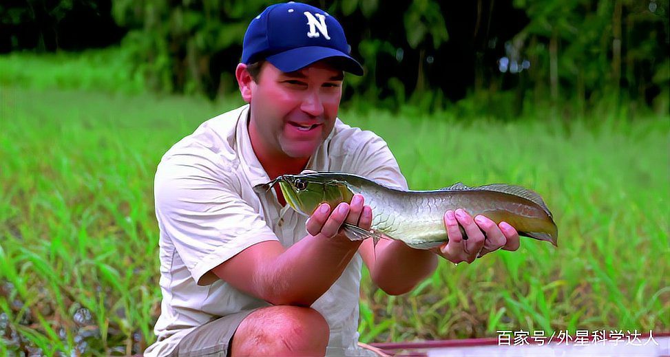 電鰻可以用手抓嗎【徒手抓電鰻的危害】