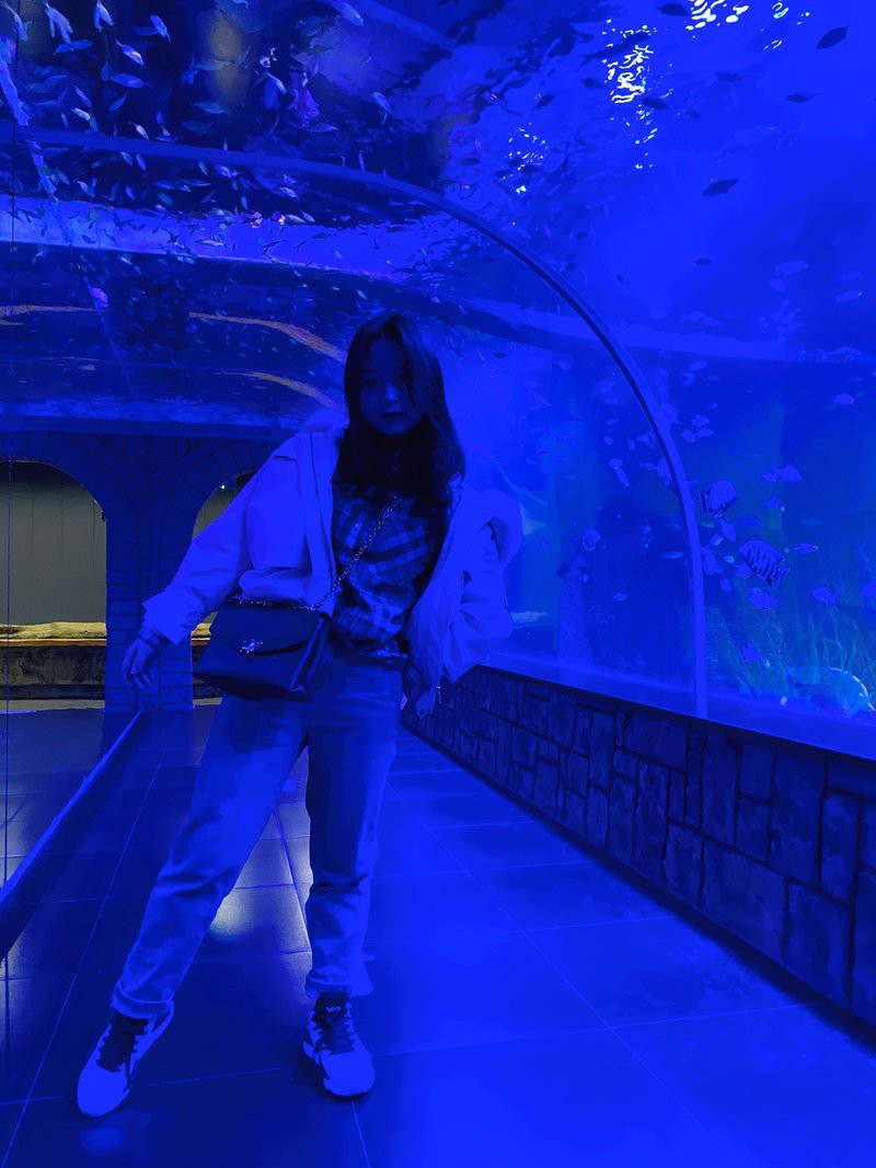 興化水族店【興化市可麗愛水族店口碑最好如何聯系興化市可麗愛水族店】