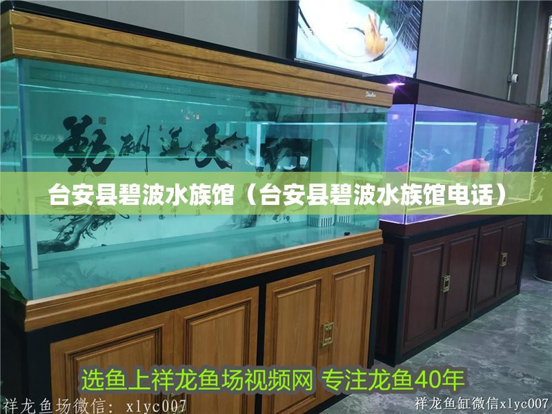 臺安龍魚店【臺安縣碧波水族館(臺安龍魚店】