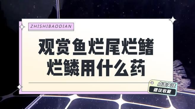 有哪些藥物可以有效治療金魚爛尾？【金魚爛尾怎么辦】