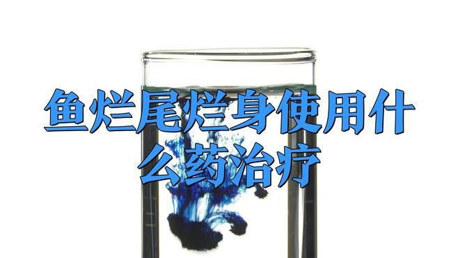 有哪些藥物可以有效治療金魚爛尾？【金魚爛尾怎么辦】