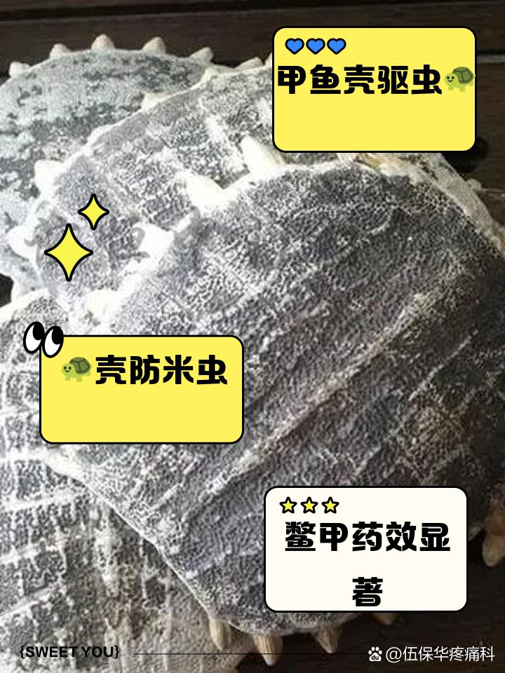 甲魚殼放家里會招鬼嗎【甲魚殼放家里會招鬼嗎圍繞“甲魚殼放家里會招鬼”嗎】