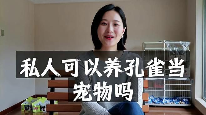 孔雀為啥不能隨便養【《孔雀為啥不能隨便養》】 孔雀為啥不能隨便養【《孔雀為啥不能隨便養》】 龍魚百科 第1張