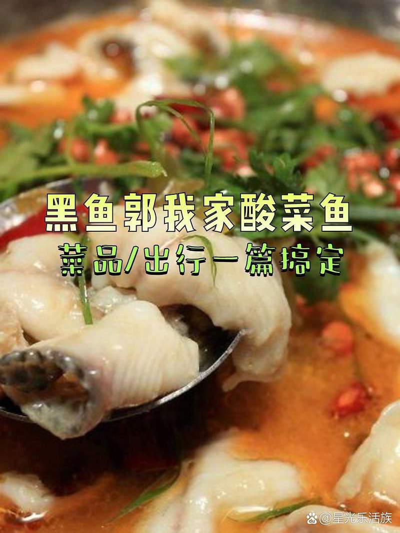臨泉龍魚店【臨泉有沒有龍魚店】