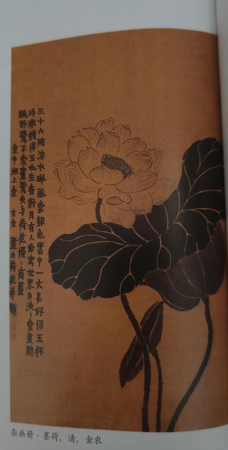 玄學中黑色的象征意義【玄學領域，黑色承載著獨特且深邃的象征意義】