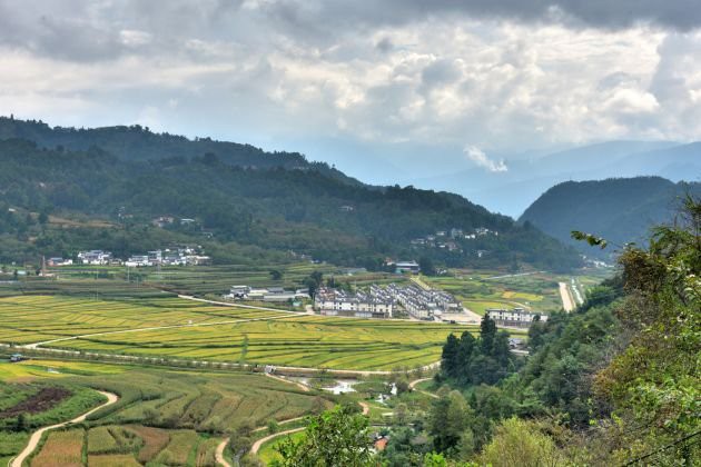 昌寧龍魚店【廣州昌寧龍魚養殖技術有哪些昌寧龍魚市場在哪里】