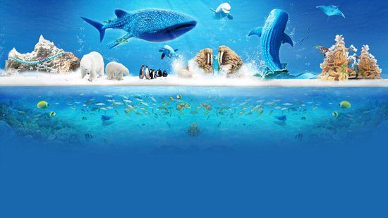 珠海水族館【珠海長(zhǎng)隆海洋王國(guó)】