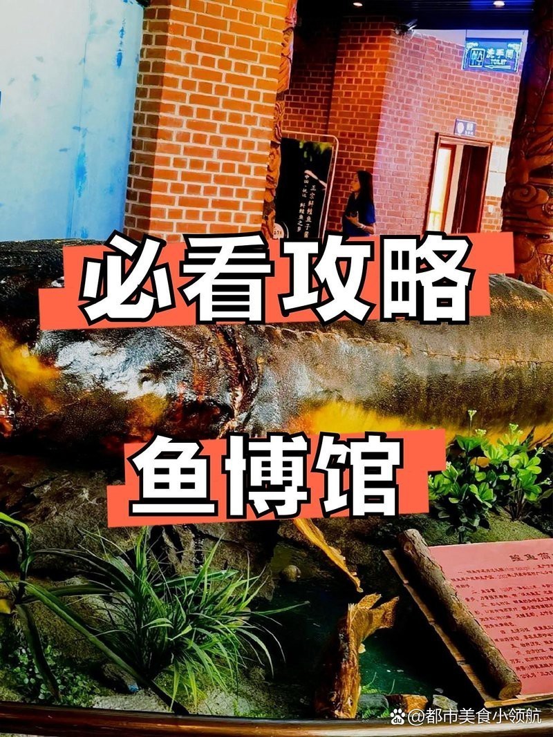 佳木斯龍魚店【佳木斯市向陽區大龍魚籽店】