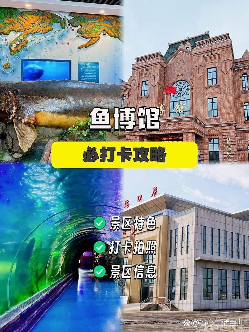 佳木斯龍魚店【佳木斯市向陽區大龍魚籽店】