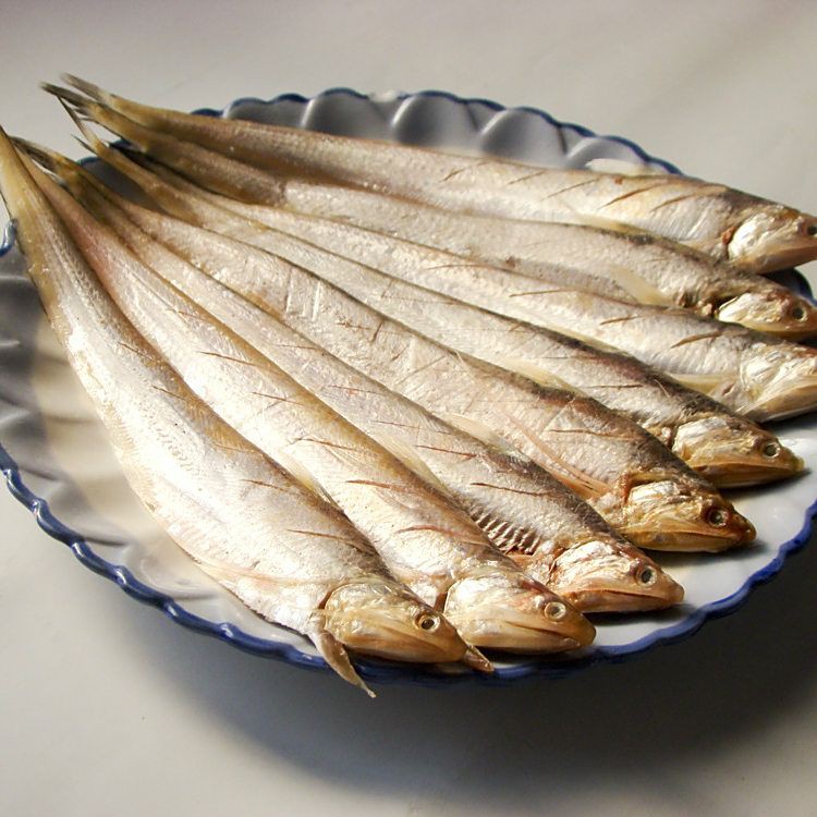 類似刀魚的魚種是什么魚【鳳尾魚和刀魚是“親戚”,為什么身價差這么多!】