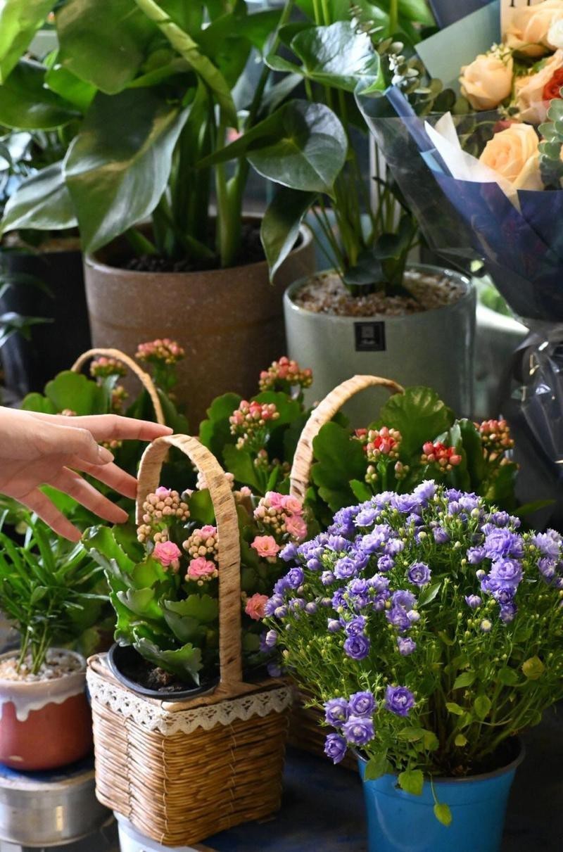 北侖水族店【北侖區哪家水族店口碑最好】