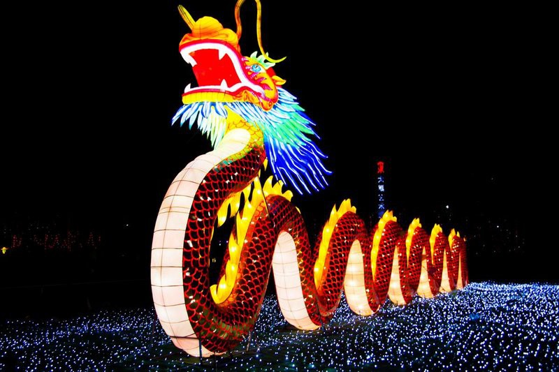 武定龍魚店【南京老門東龍燈亮起打卡武定龍魚店南京老門東龍燈亮起】