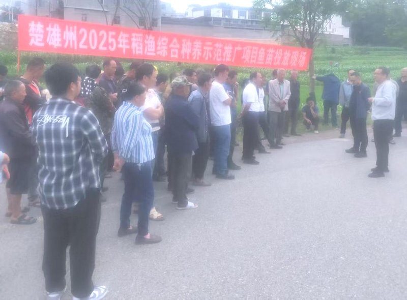 武定龍魚店【南京老門東龍燈亮起打卡武定龍魚店南京老門東龍燈亮起】