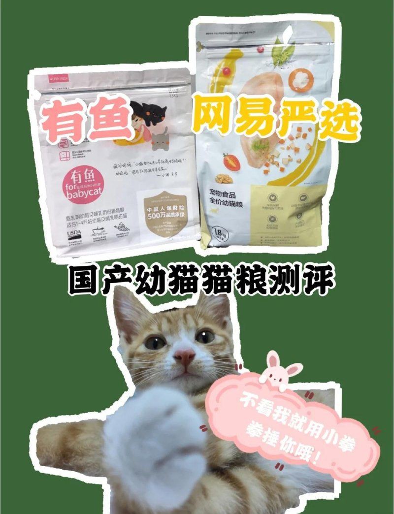 貓糧和魚哪個貴【《貓糧和魚哪個貴》在寵物飼養領域，常有人探討貓糧與魚的價格高低】