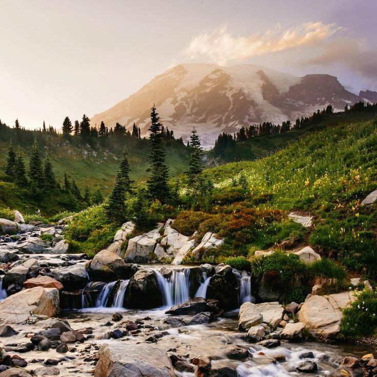 魚擺件最忌三個地方【家居風水中魚擺件的禁忌】