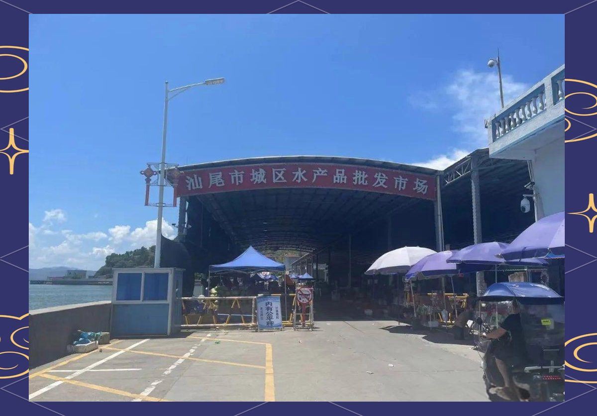 汕尾水族批發(fā)市場【探秘汕尾水產(chǎn)品批發(fā)市場】