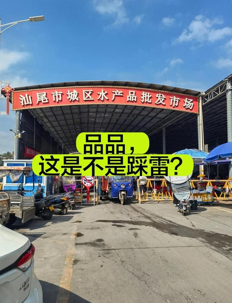 汕尾水族批發(fā)市場【探秘汕尾水產(chǎn)品批發(fā)市場】