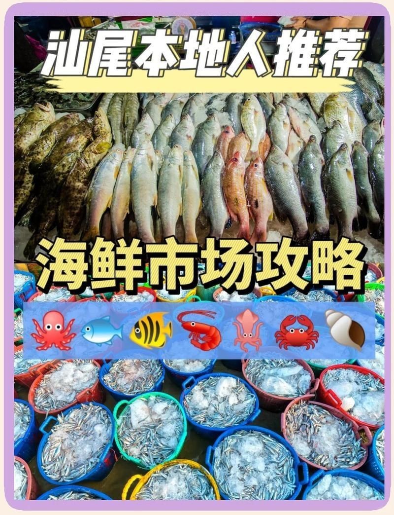 汕尾水族批發(fā)市場【探秘汕尾水產(chǎn)品批發(fā)市場】