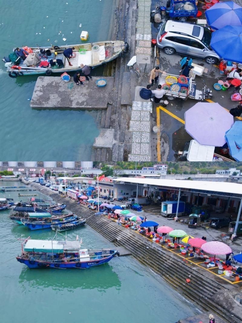 汕尾水族批發(fā)市場【探秘汕尾水產(chǎn)品批發(fā)市場】