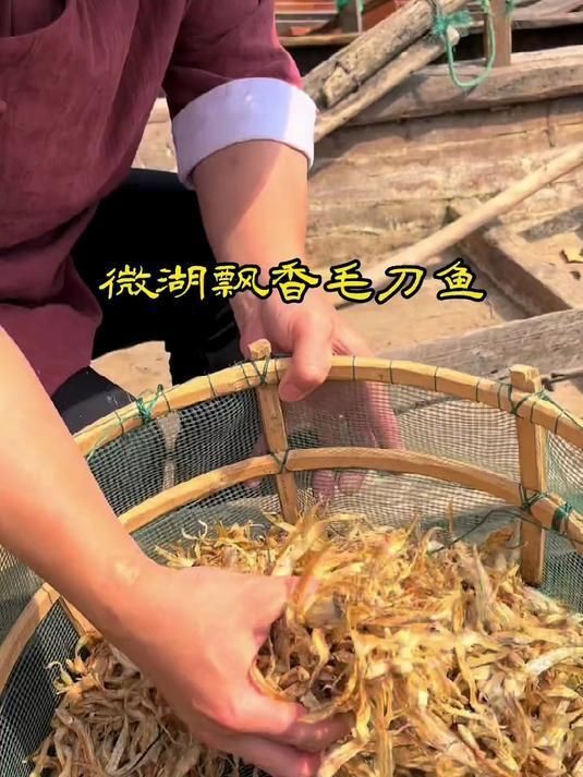 毛刀魚是什么魚【河鮮界的“小鮮肉”毛刀魚】