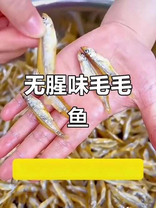 毛魚的樣子圖片【一漁民捕獲一條100斤1.6米長的大魚，賣30萬元還嫌少老潘說漁】