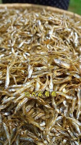 毛魚的樣子圖片【一漁民捕獲一條100斤1.6米長的大魚，賣30萬元還嫌少老潘說漁】