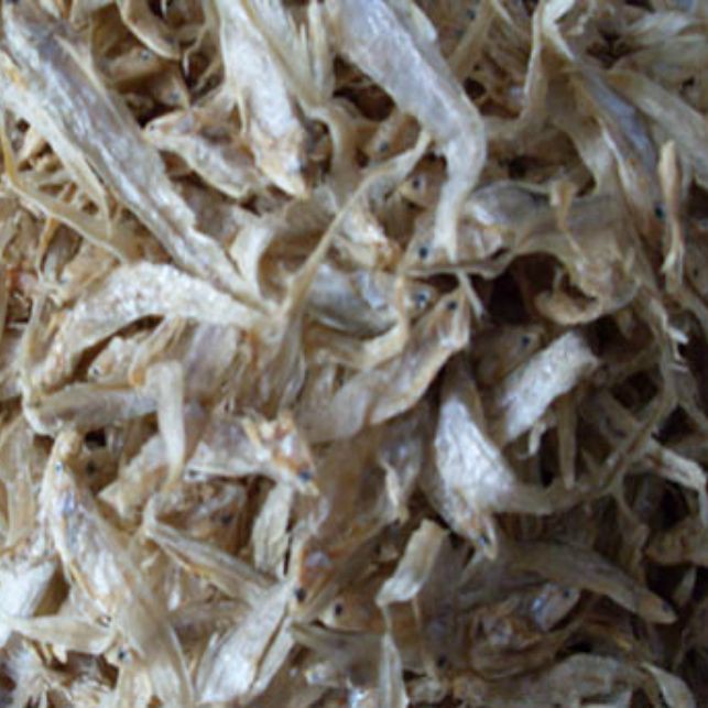 毛魚的樣子圖片【一漁民捕獲一條100斤1.6米長的大魚，賣30萬元還嫌少老潘說漁】