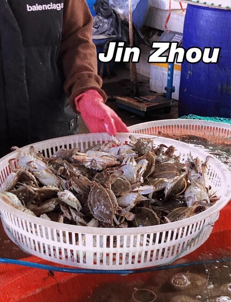 錦州水族批發市場【錦州水族批發市場是當地重要的水族產品集散地是當地重要的水族產品集散地】