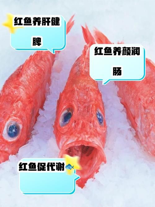 紅丁魚圖片【紅丁桂分類學特征、形態分布及經濟價值等方面展開】
