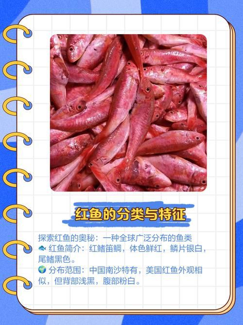 紅丁魚圖片【紅丁桂分類學特征、形態分布及經濟價值等方面展開】