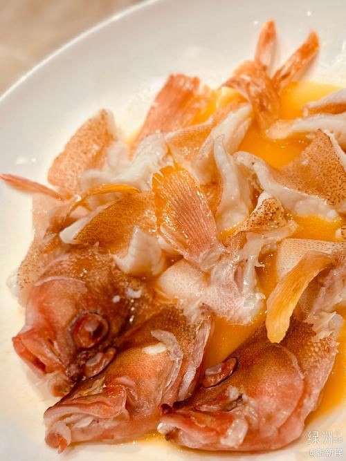 紅丁魚圖片【紅丁桂分類學特征、形態分布及經濟價值等方面展開】