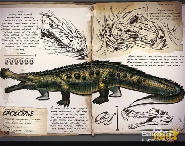 恐龍島鱷魚(yú)進(jìn)化帝王【《恐龍島鱷魚(yú)進(jìn)化帝王》方舟生存進(jìn)化帝王鱷屬性介紹】 恐龍島鱷魚(yú)進(jìn)化帝王【《恐龍島鱷魚(yú)進(jìn)化帝王》方舟生存進(jìn)化帝王鱷屬性介紹】 龍魚(yú)百科 第1張