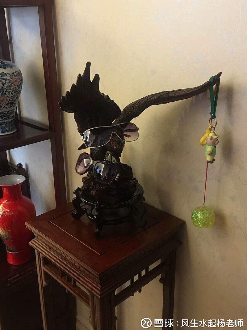 為什么家里不能擺老鷹【為什么家里不能擺老鷹，在家居裝飾中】