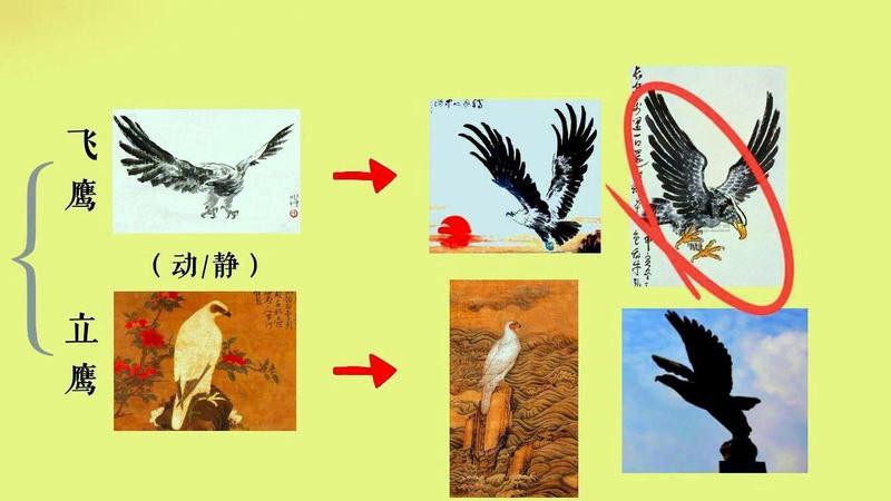 為什么家里不能擺老鷹【為什么家里不能擺老鷹，在家居裝飾中】